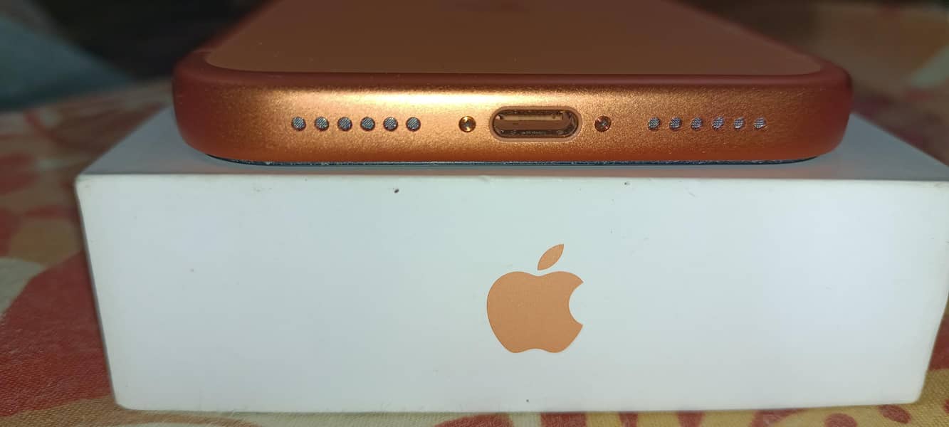 Apple iPhone 17 Pro Max 4