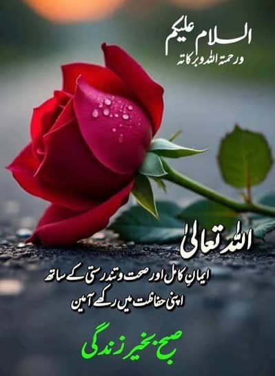 ضرورت برائے جاب