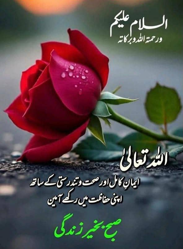 ضرورت برائے جاب 0