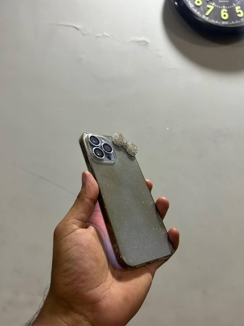 Apple iPhone 13 Pro Max 1