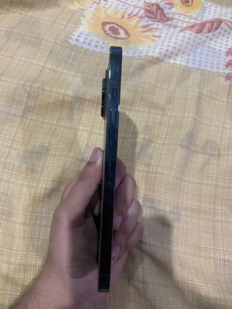 Apple iPhone 13 Pro Max 1