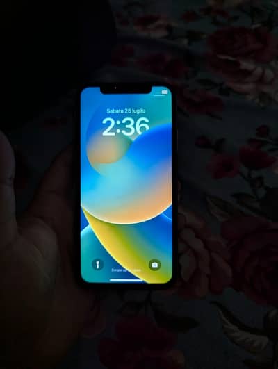 Apple iPhone X