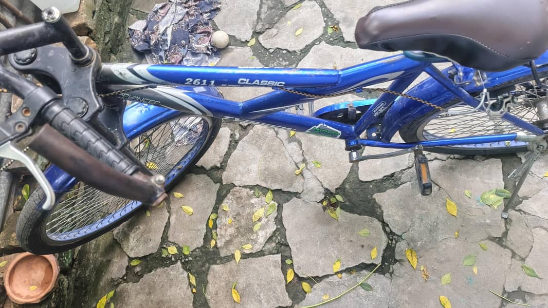 cycle 0