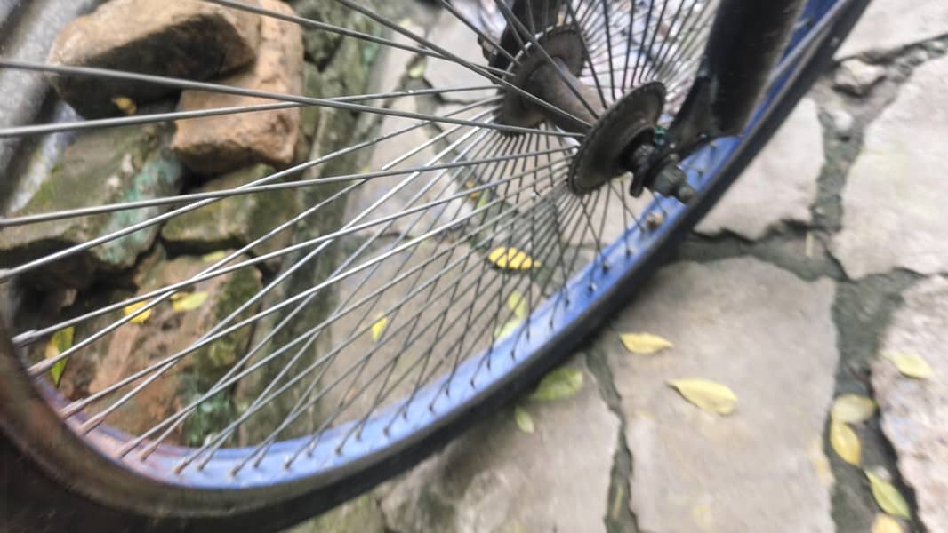 cycle 2