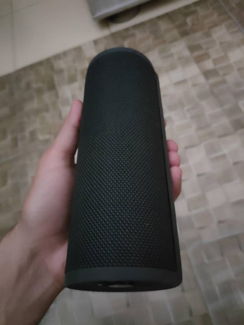 Ultimate Ears Blast 1