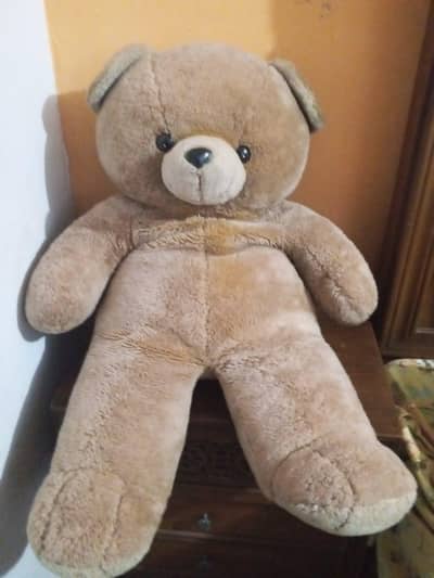 teddy bear