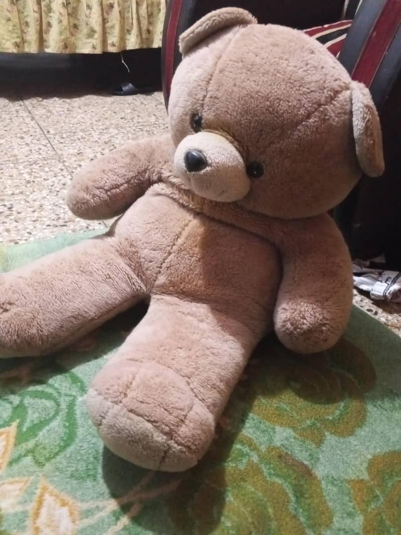 teddy bear 1
