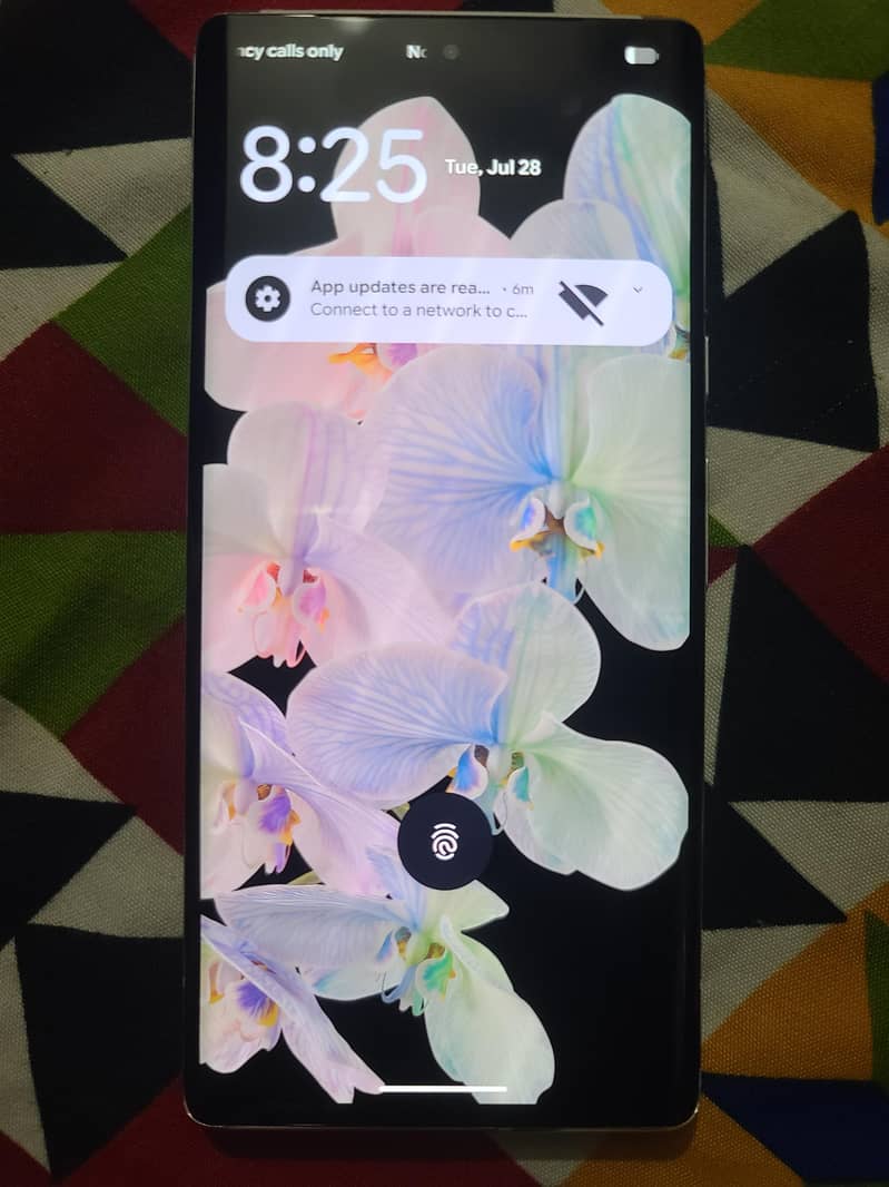 Google Pixel 6 Pro 2