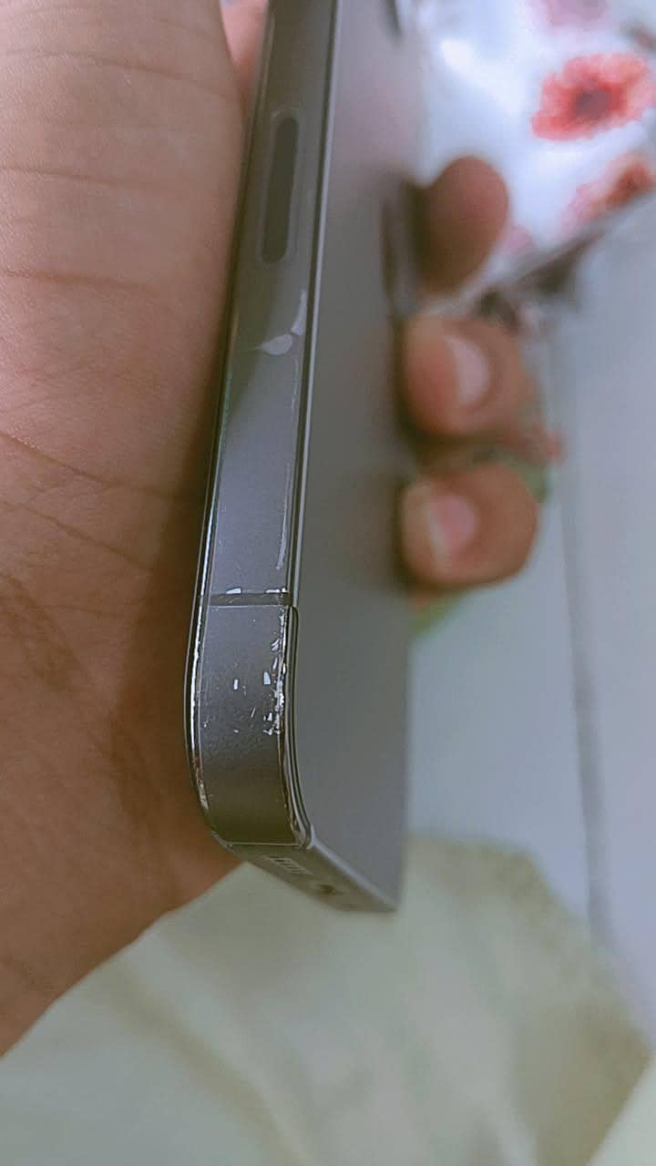 Apple iPhone 13 Pro Max 2