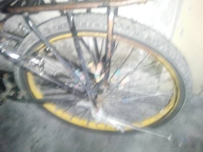 cycle 24 no