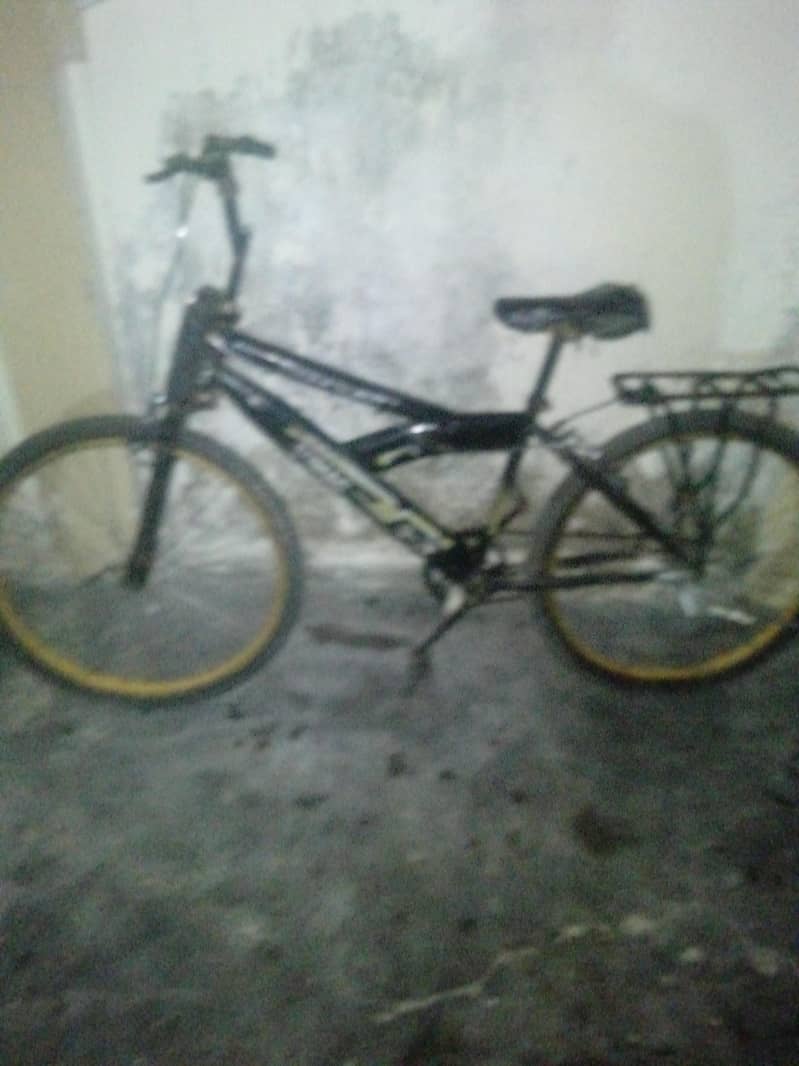 cycle 24 no 3