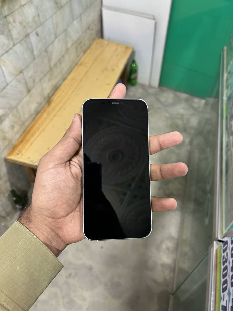 Apple iPhone 12 Pro Max 1