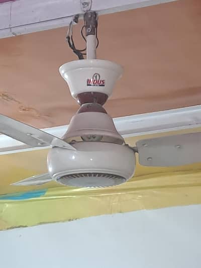 indus celing fan 56 inch