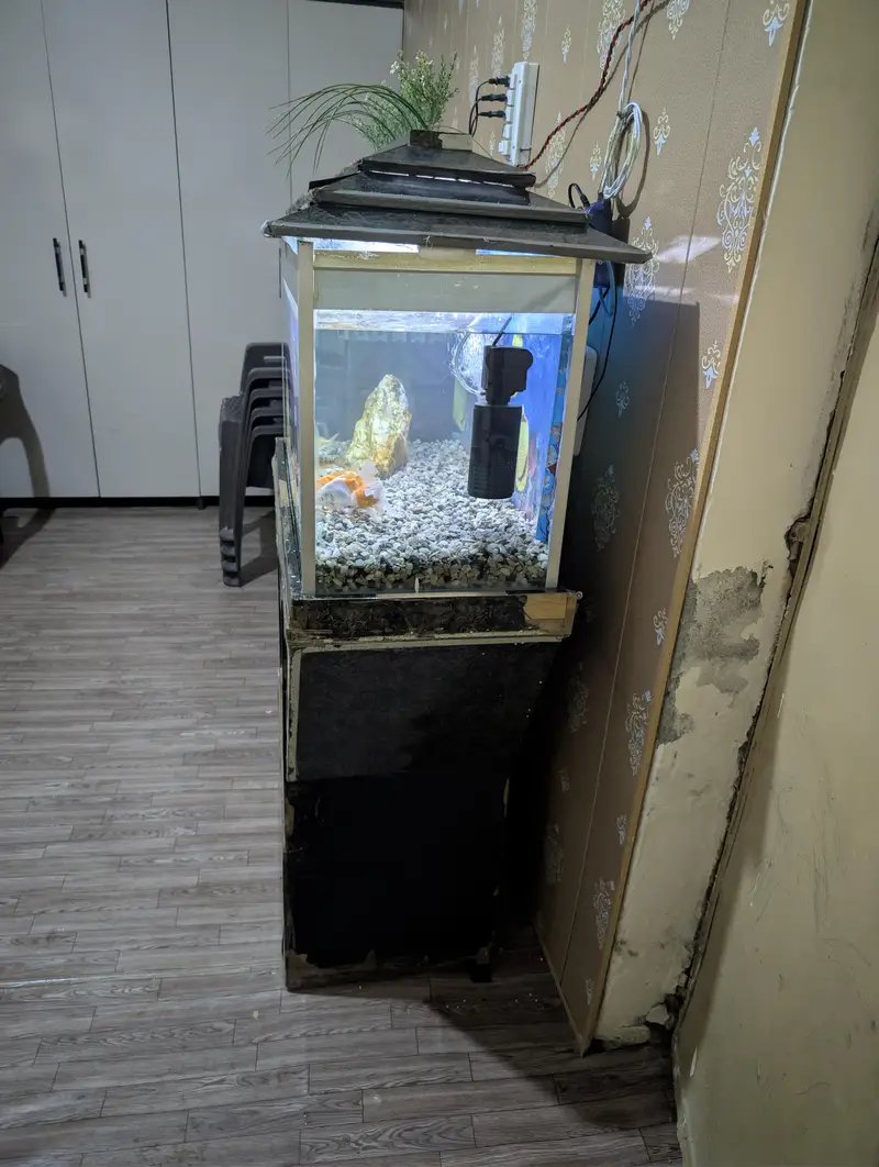 3ft Complete Aquarium Setup for Sale — photo 6