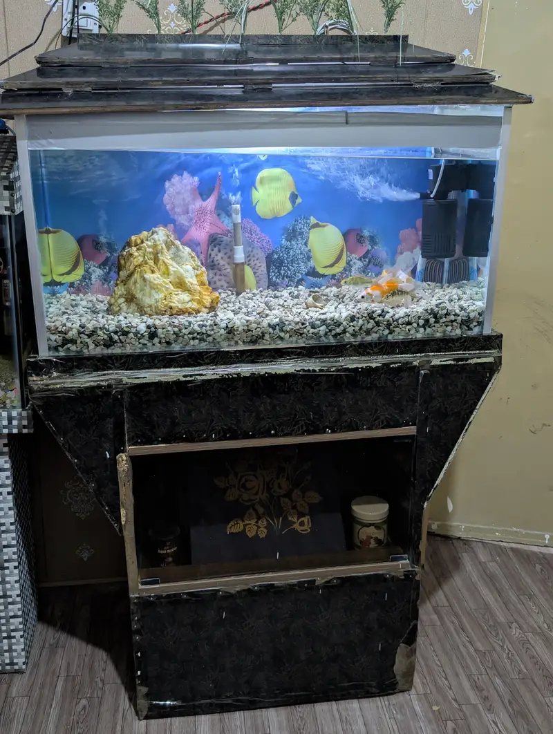 3ft Complete Aquarium Setup for Sale — photo 8