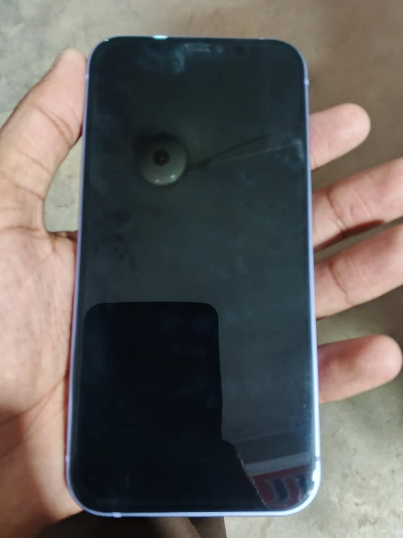 Apple iPhone 12 1