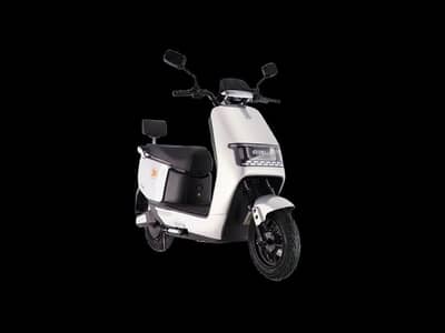 Saige N300