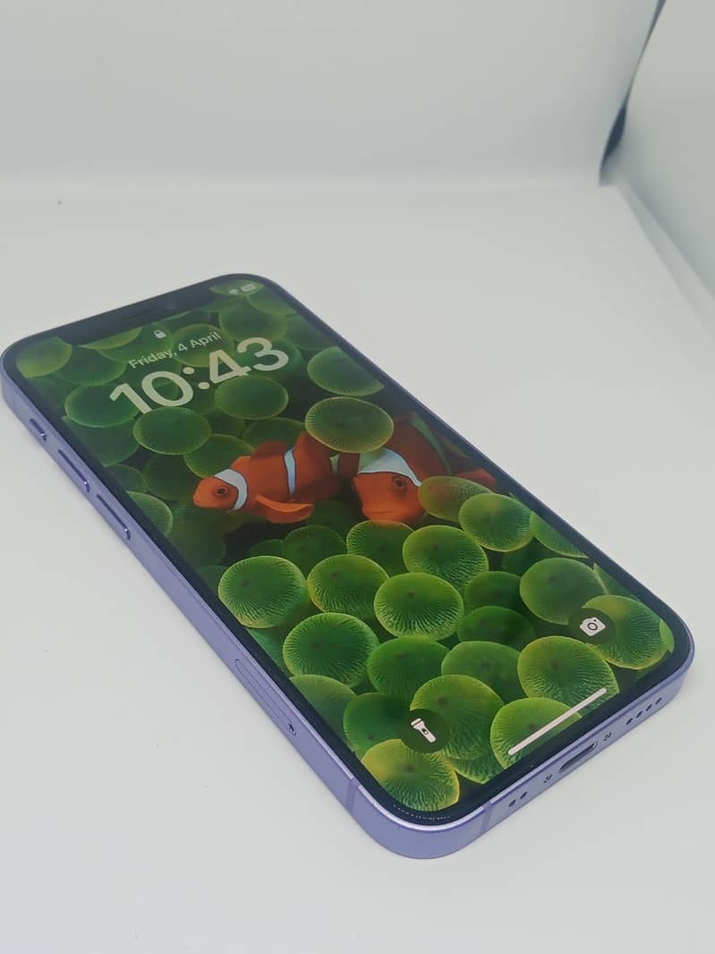 Apple iPhone 12 mini 3