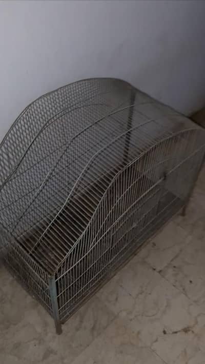 1 Cage are for sale and Budgies