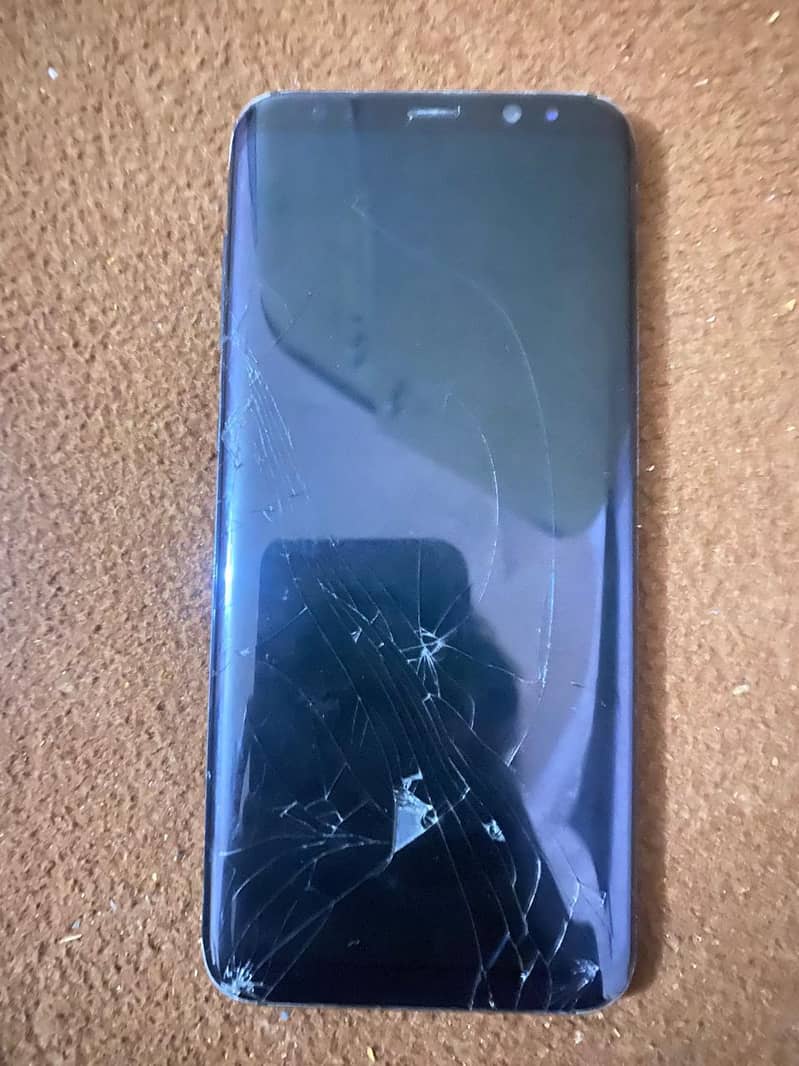 S8 plus panel 2