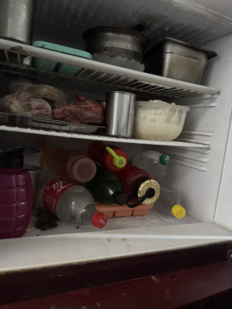 Orient Refrigerator 3
