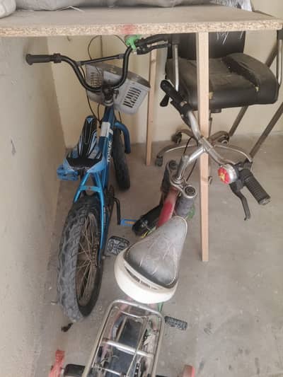 Three Bicycles for Kids Career