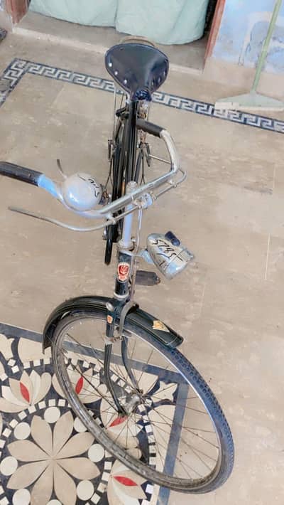 china cycle phoenix for sale call and WhatsApp 0370=3660=453