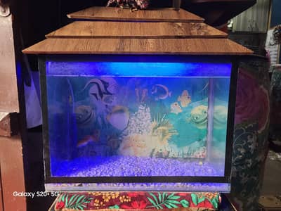 Aquarium