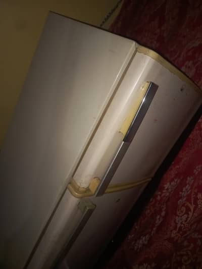 used ferige sale