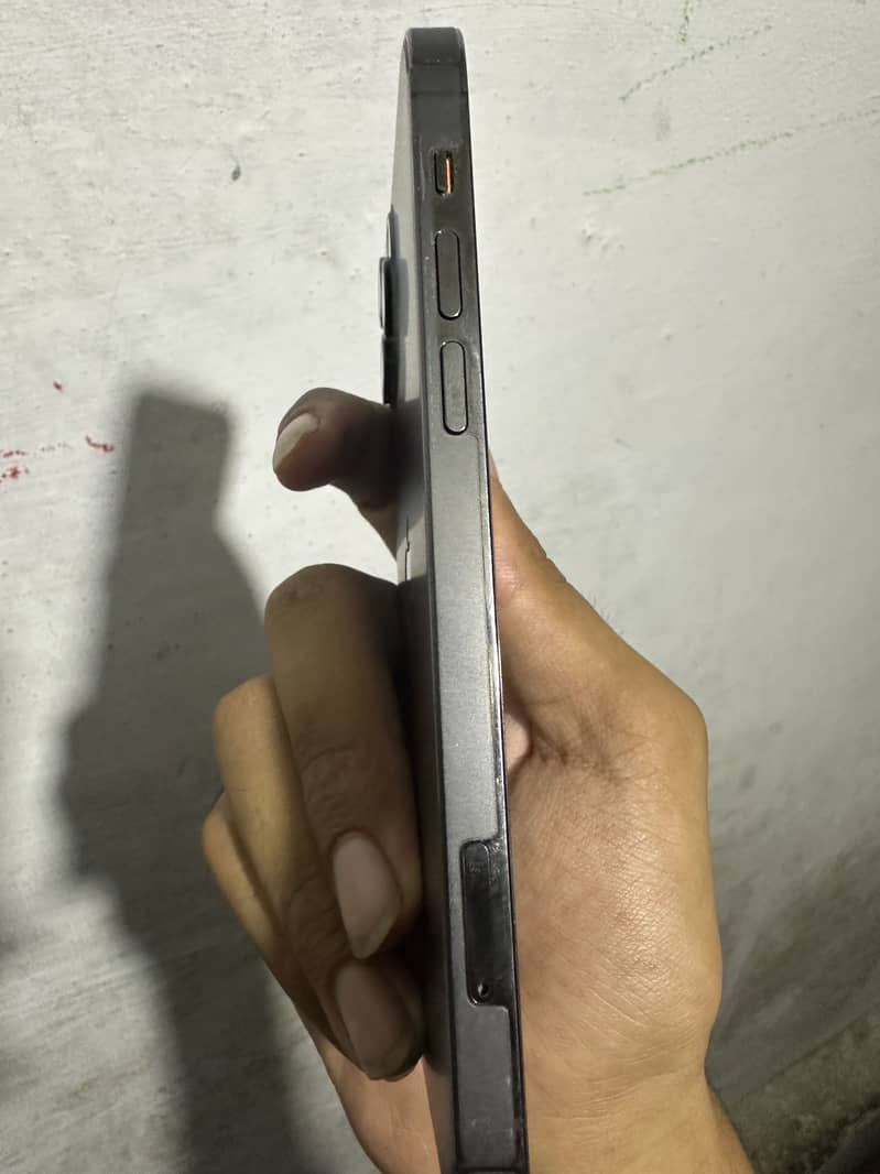 12 pro 1