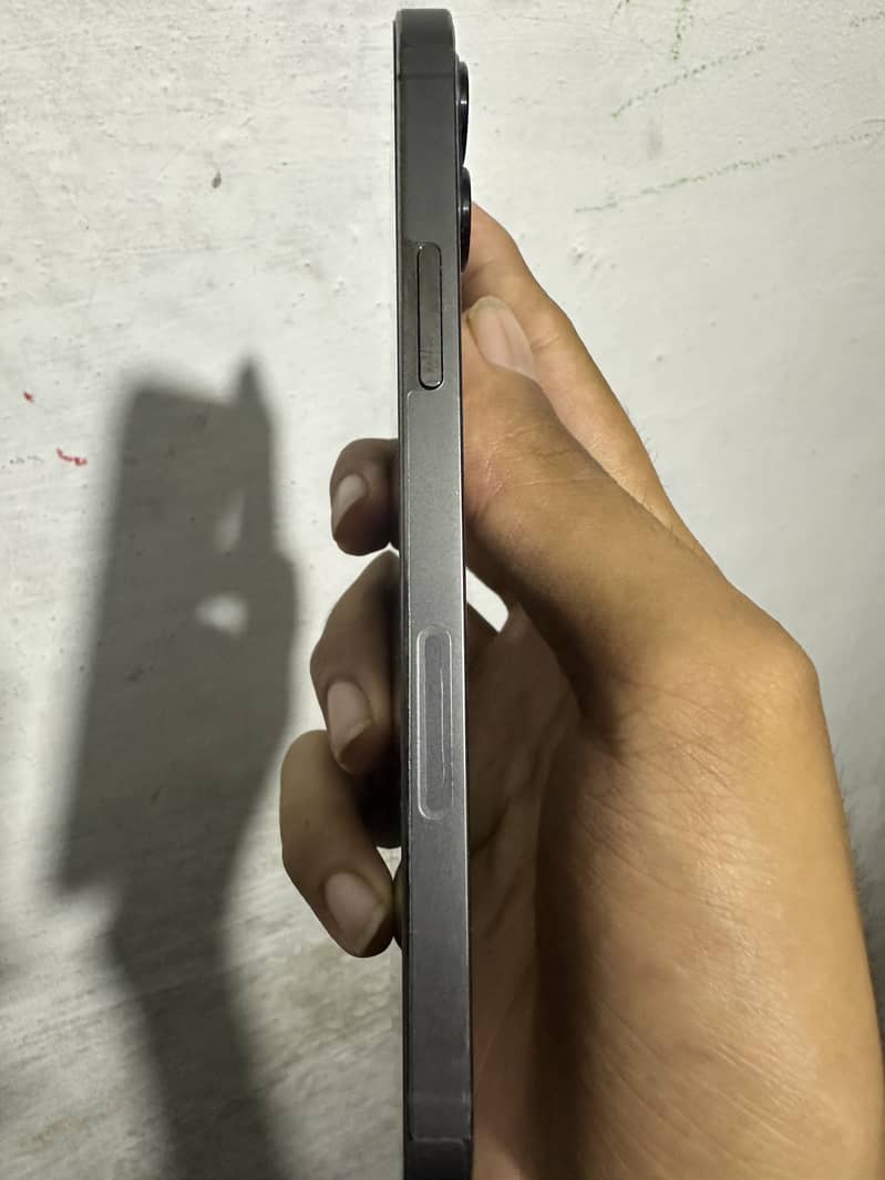 12 pro 2