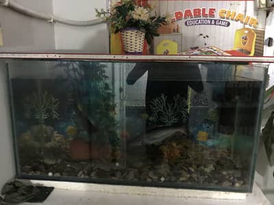 Aquarium for sale