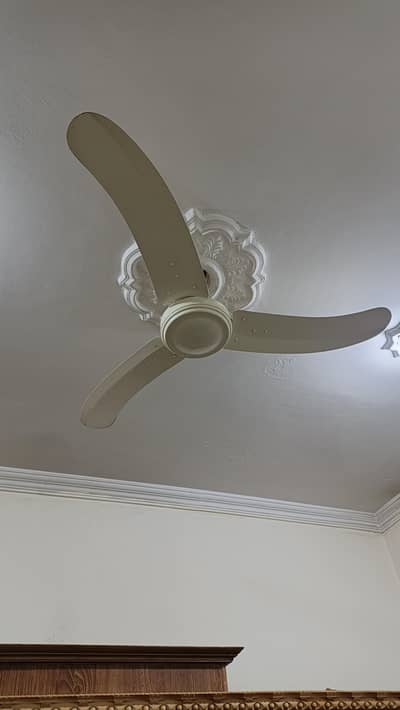 Pak fan ceiling fan
