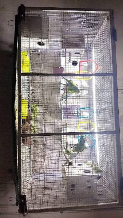 beautiful double heavy guage cage with Australian parrots