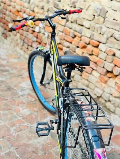 bianchi bicycles