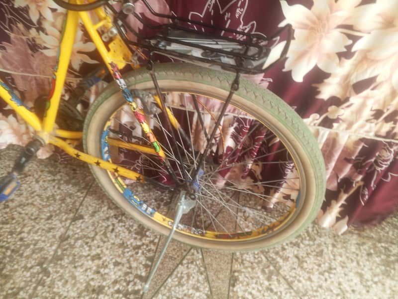 Phonix cycle 1