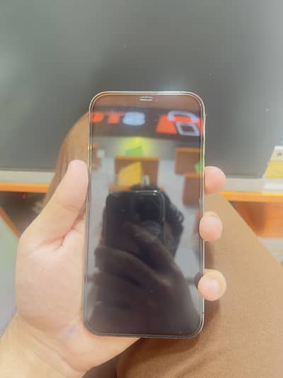 Apple iPhone 12 Pro Max