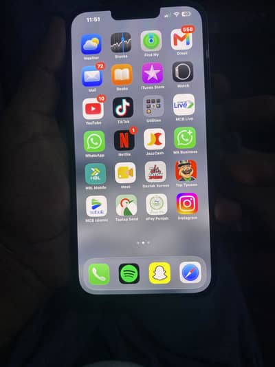 Apple iPhone 13 Pro Max