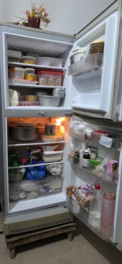 pel fridge double door