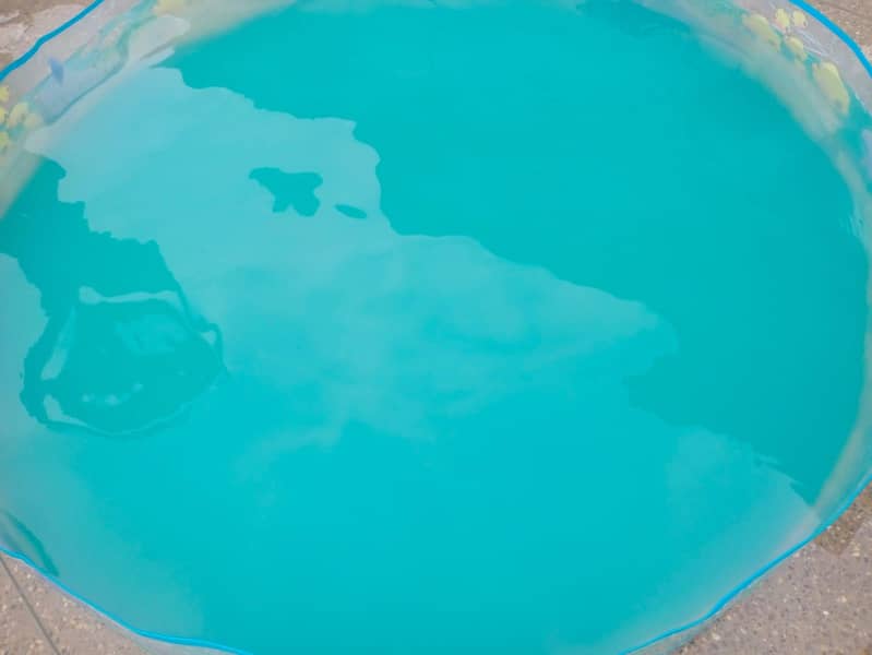 Swmming Pool 1