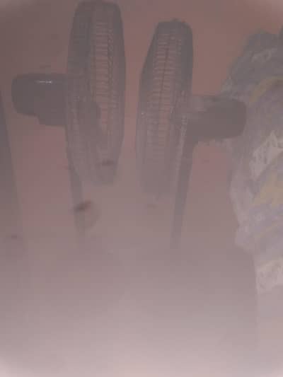 12 volt 2 fans