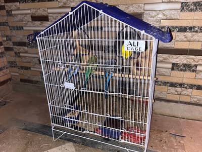 2 Pairs Budgies with cage for sale
