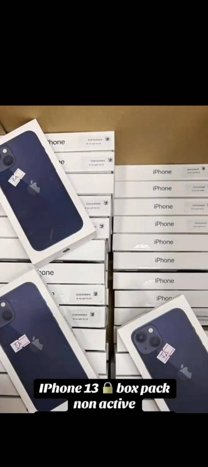 Apple iPhone 13 0