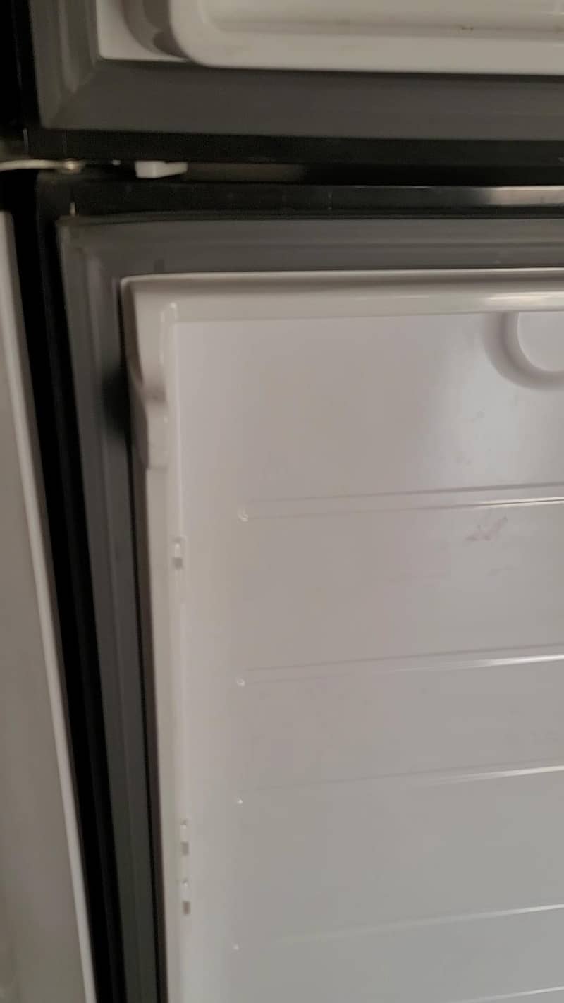 Fridge 2