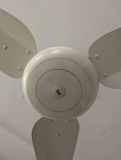 DELUXE STANDARD- SK FANS
