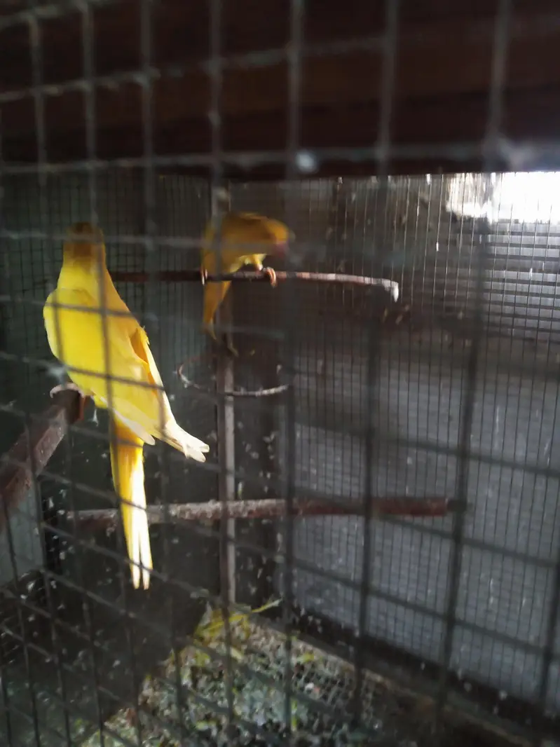 beyoutiful kajrey narr. pices — photo 2