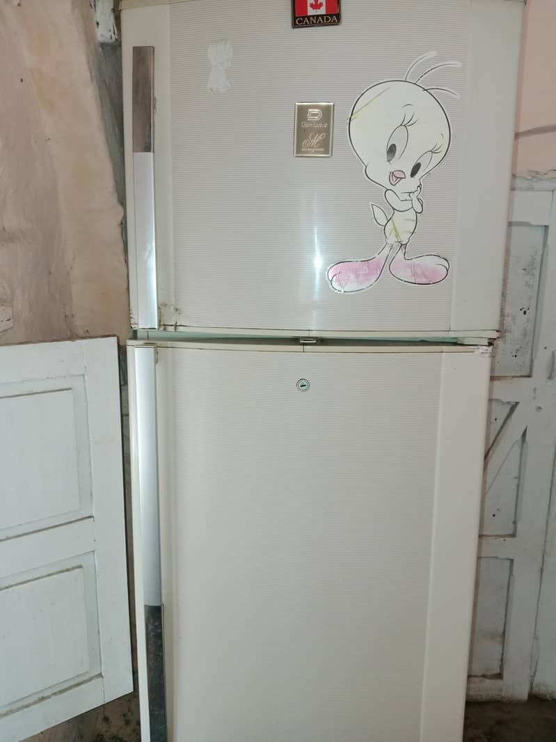 Fridge/Freezer 1