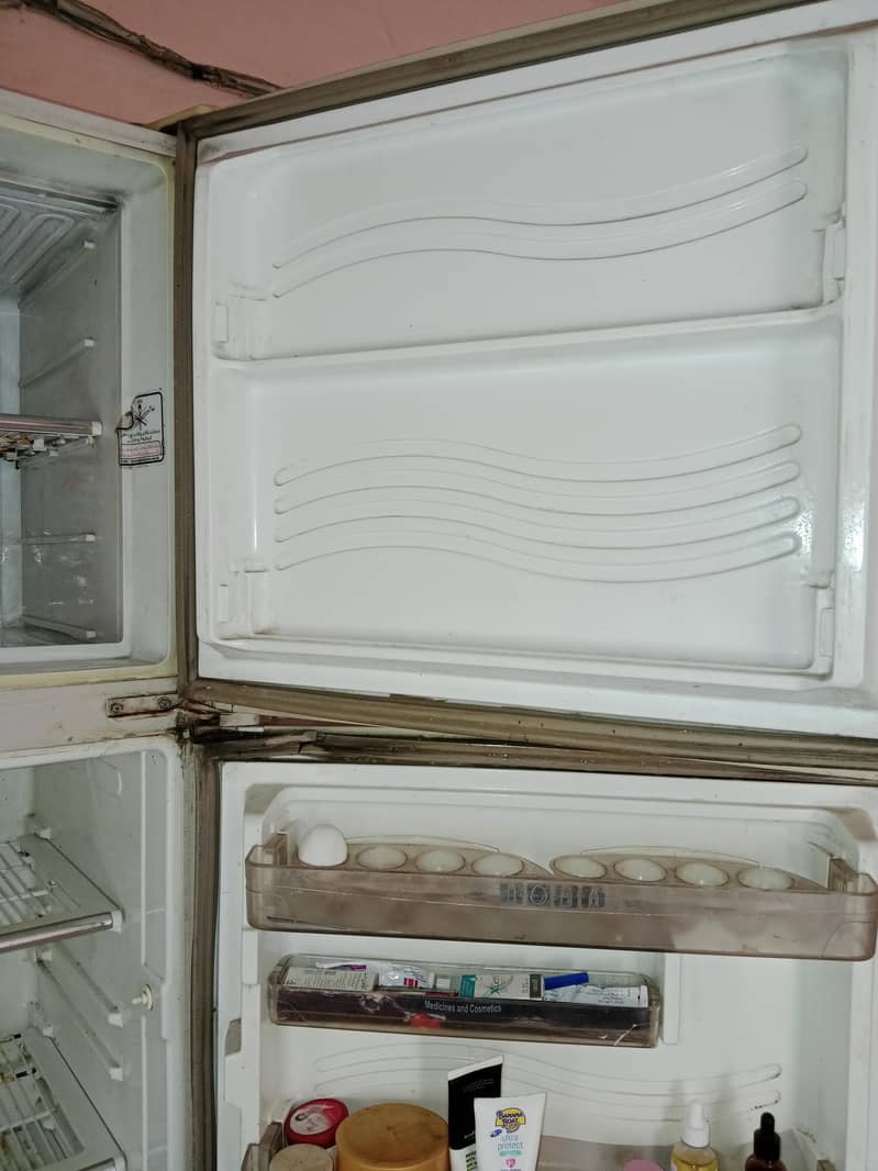 Fridge/Freezer 3