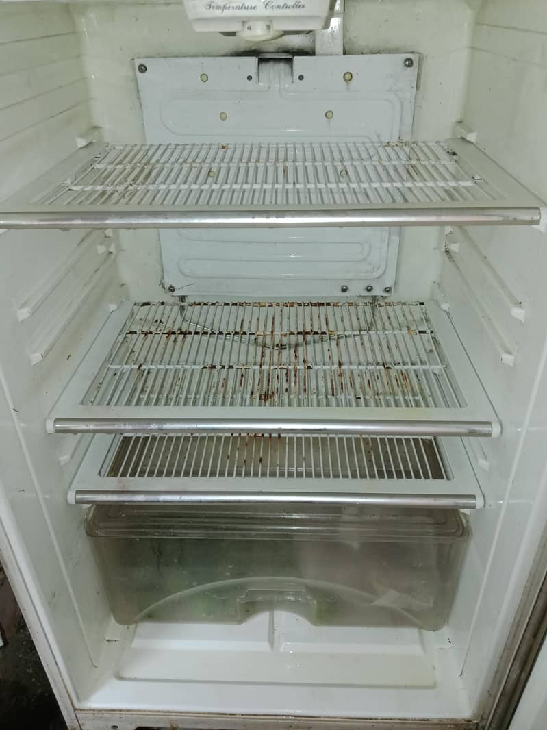 Fridge/Freezer 5