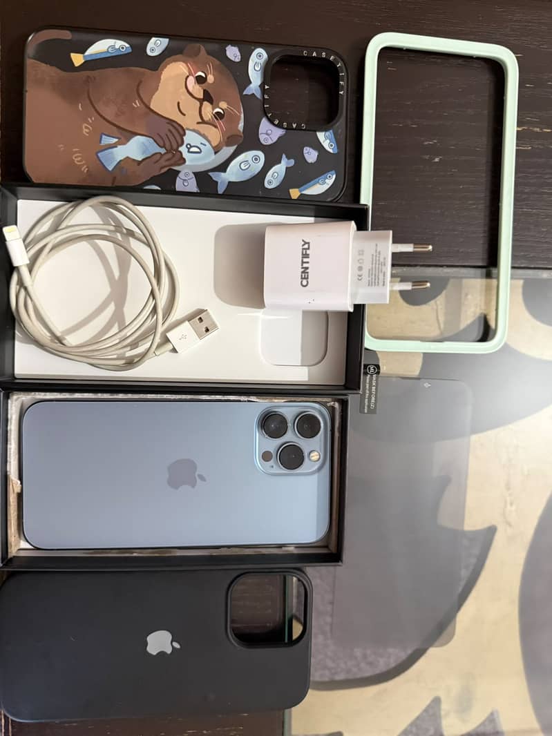 Apple iPhone 13 Pro Max 1
